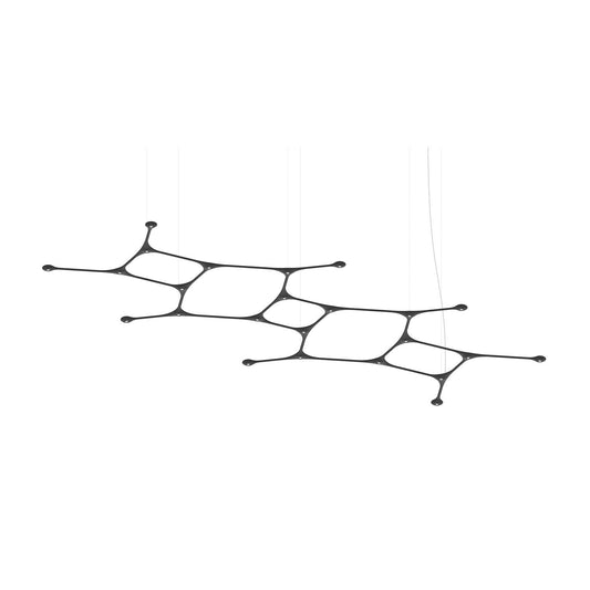 Carbon 02